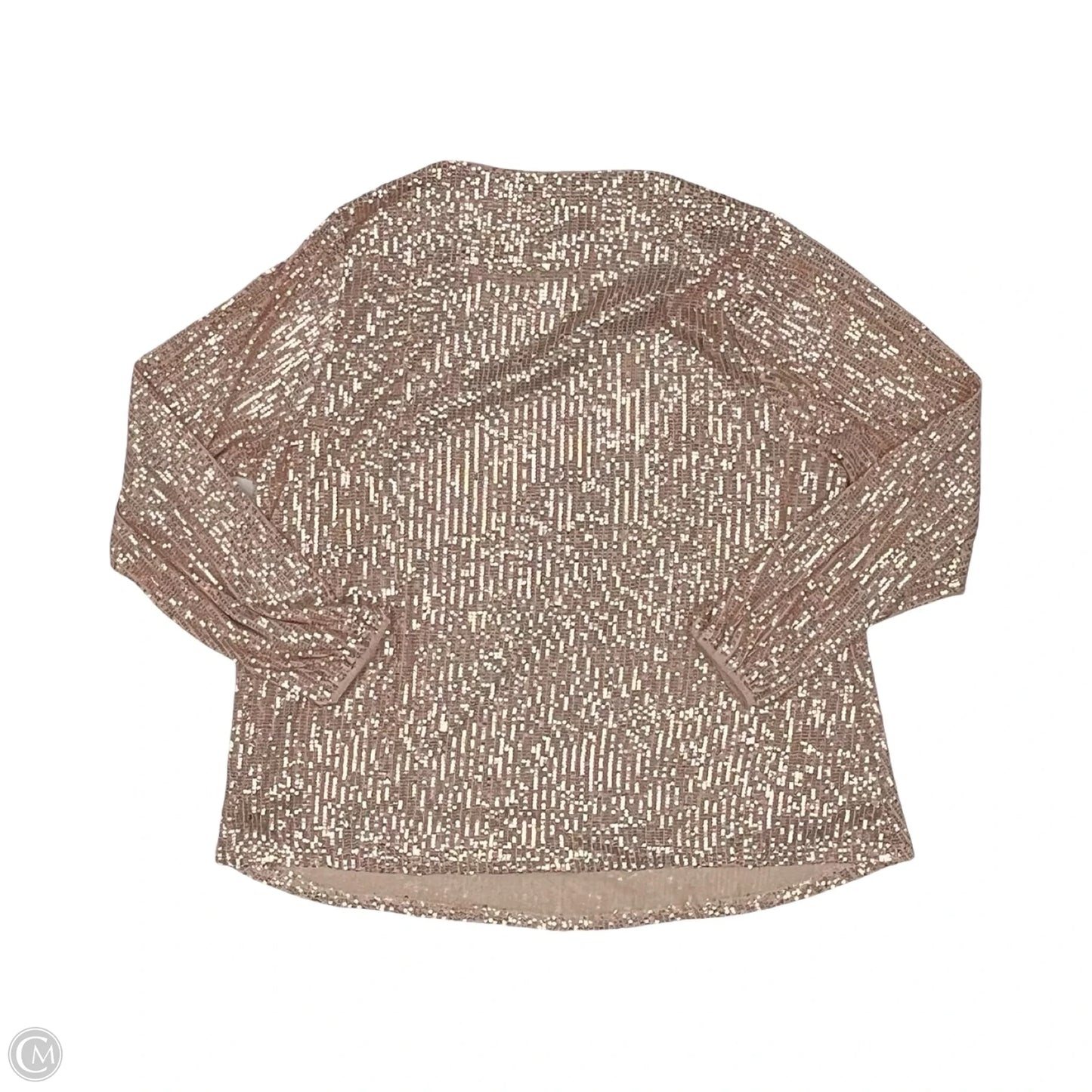 Blouse Long Sleeve By Clothes Mentor In Cream & Silver, Size: L