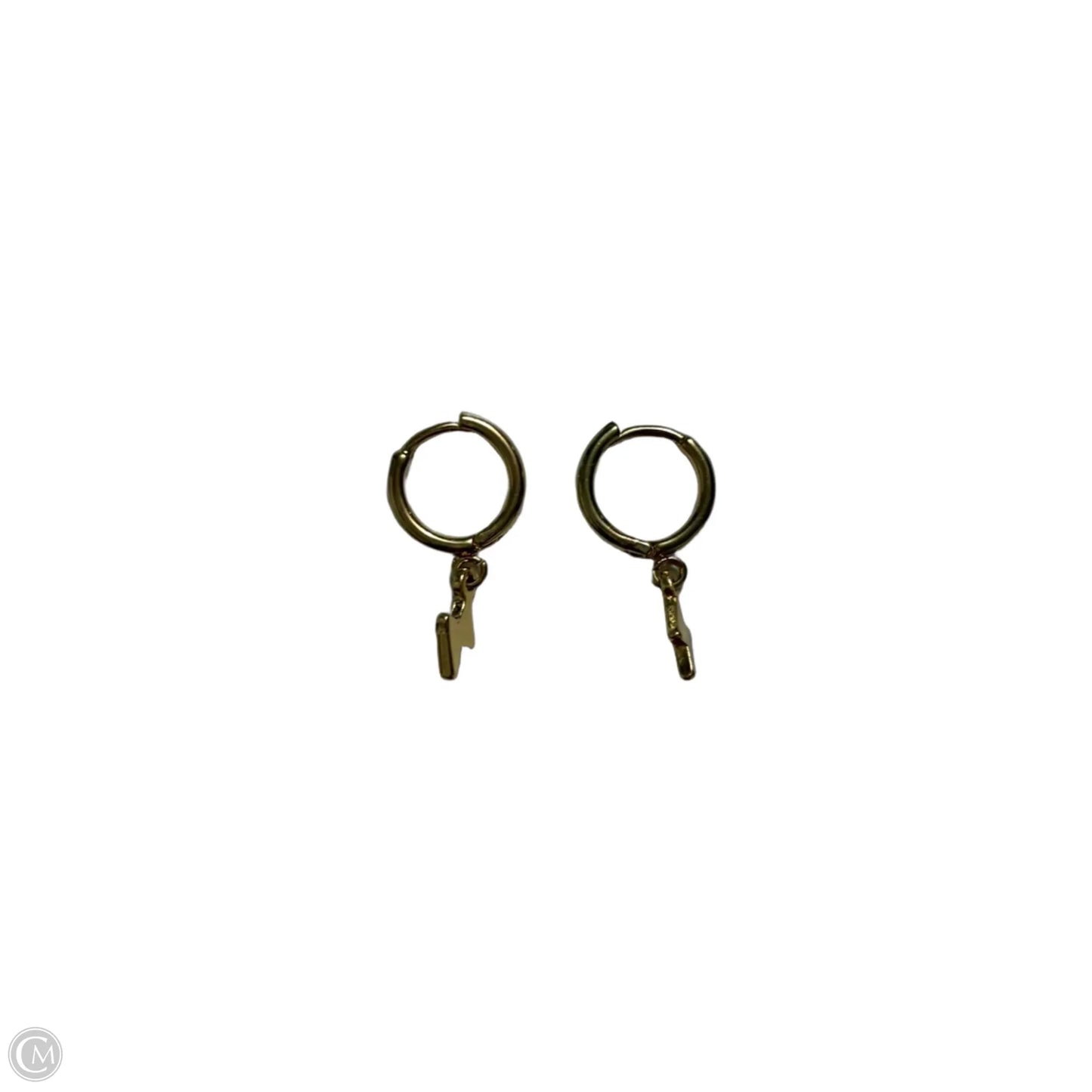 Earrings Hoop By Clothes Mentor