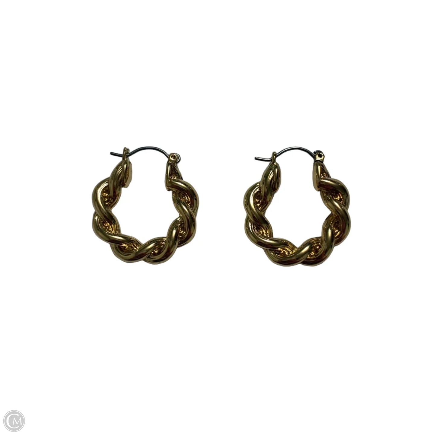 Earrings Hoop By Clothes Mentor