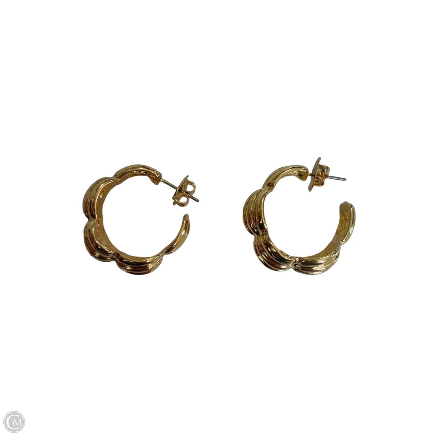 Earrings Hoop By Clothes Mentor