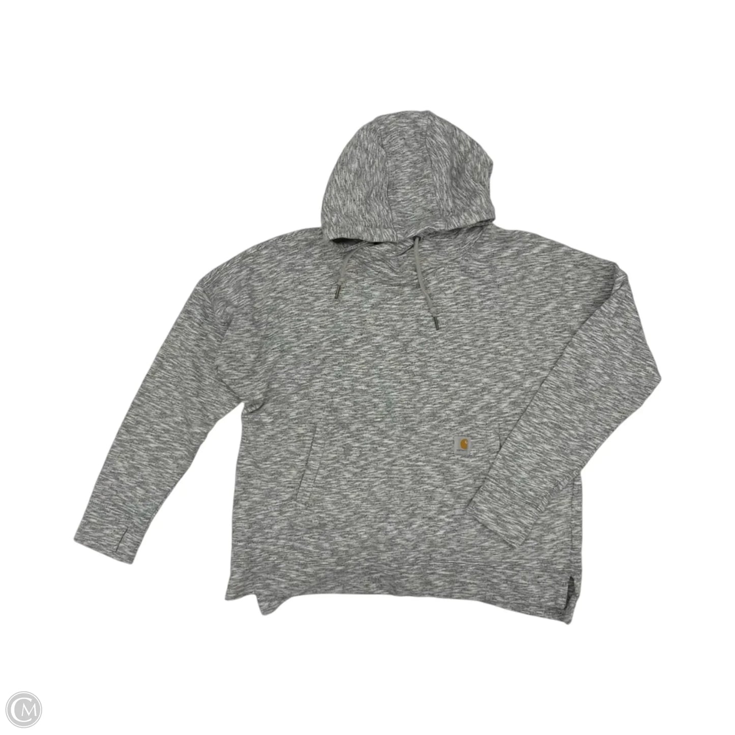 Sweatshirt Hoodie By Carhartt In Grey, Size: L