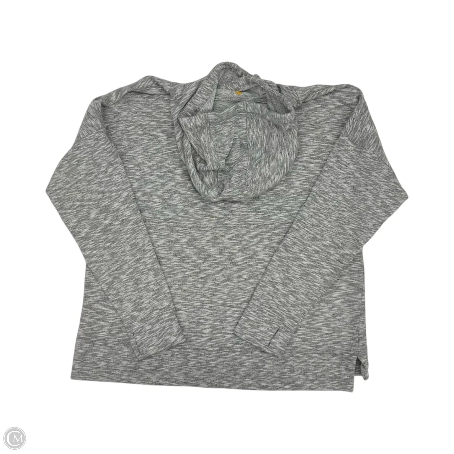 Sweatshirt Hoodie By Carhartt In Grey, Size: L