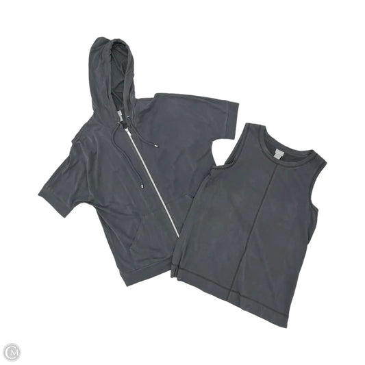 Top 2pc Long Sleeve By Chicos In Grey, Size: S