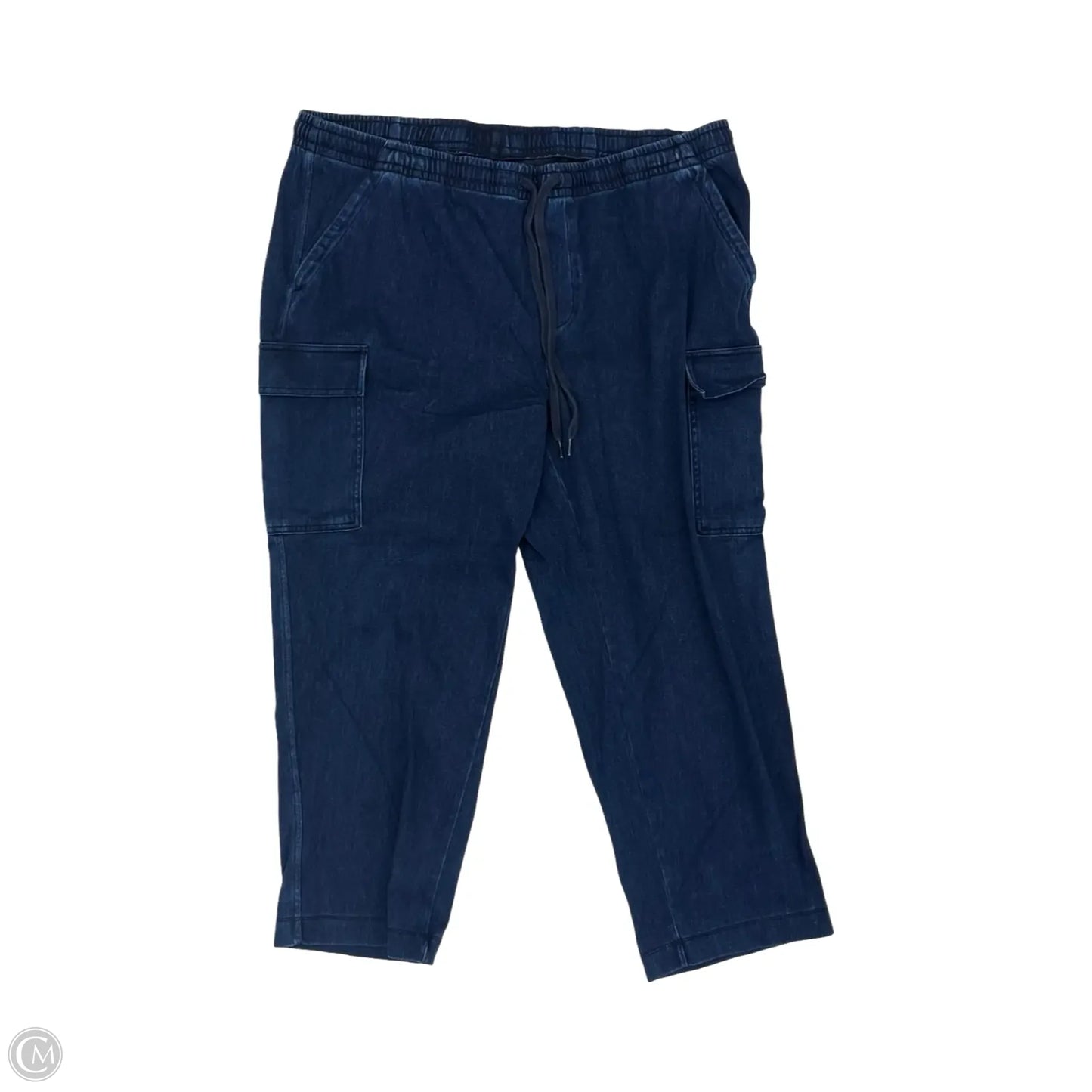 Pants Other By Lands End In Blue, Size: 2x
