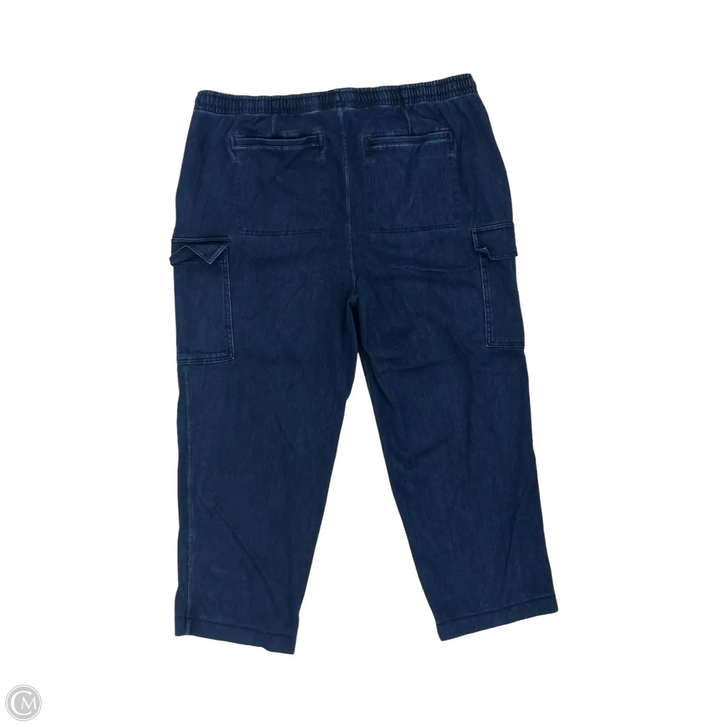 Pants Other By Lands End In Blue, Size: 2x