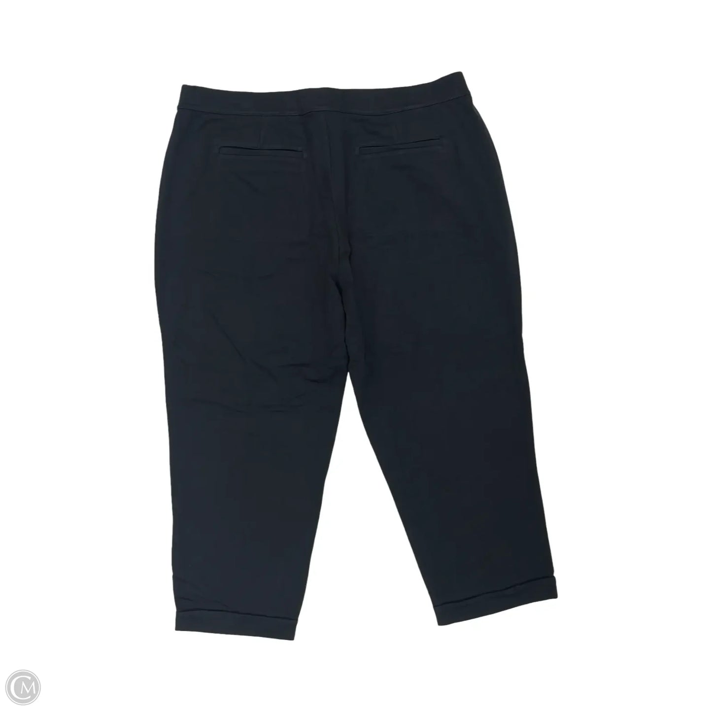 Pants Other By Lands End In Black, Size: 2x