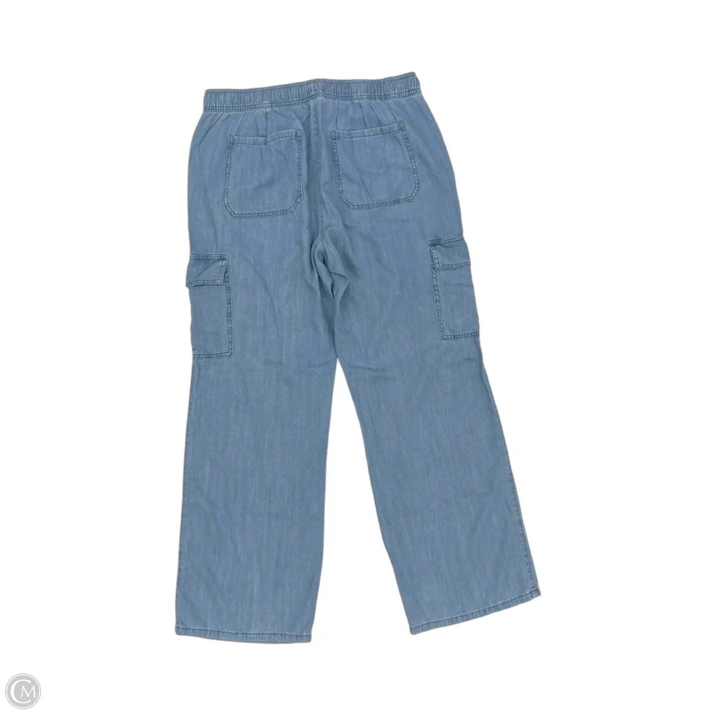 Pants Cargo & Utility By Sanctuary In Blue Denim, Size: Xl