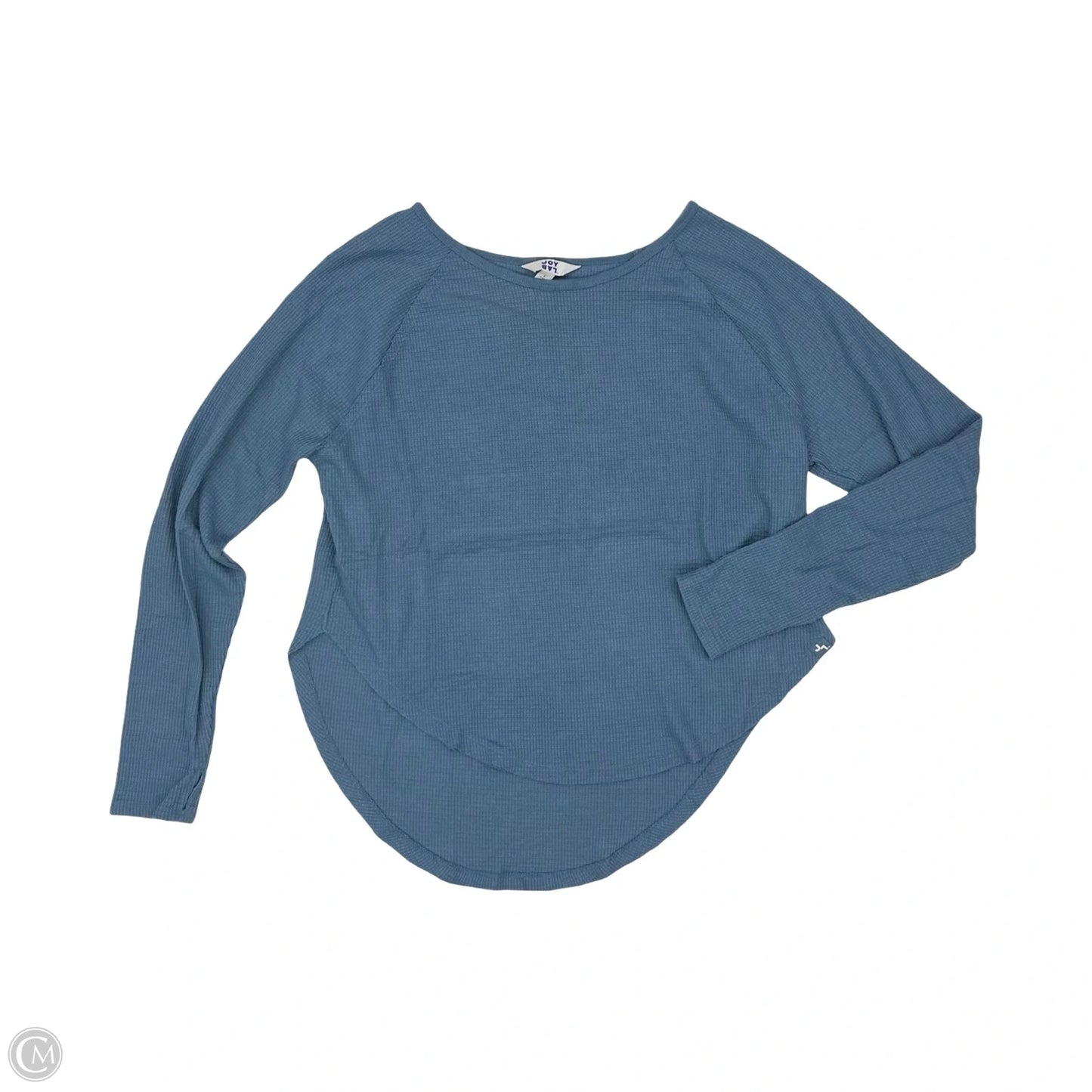 Athletic Top Long Sleeve Crewneck By Joy Lab In Blue, Size: L