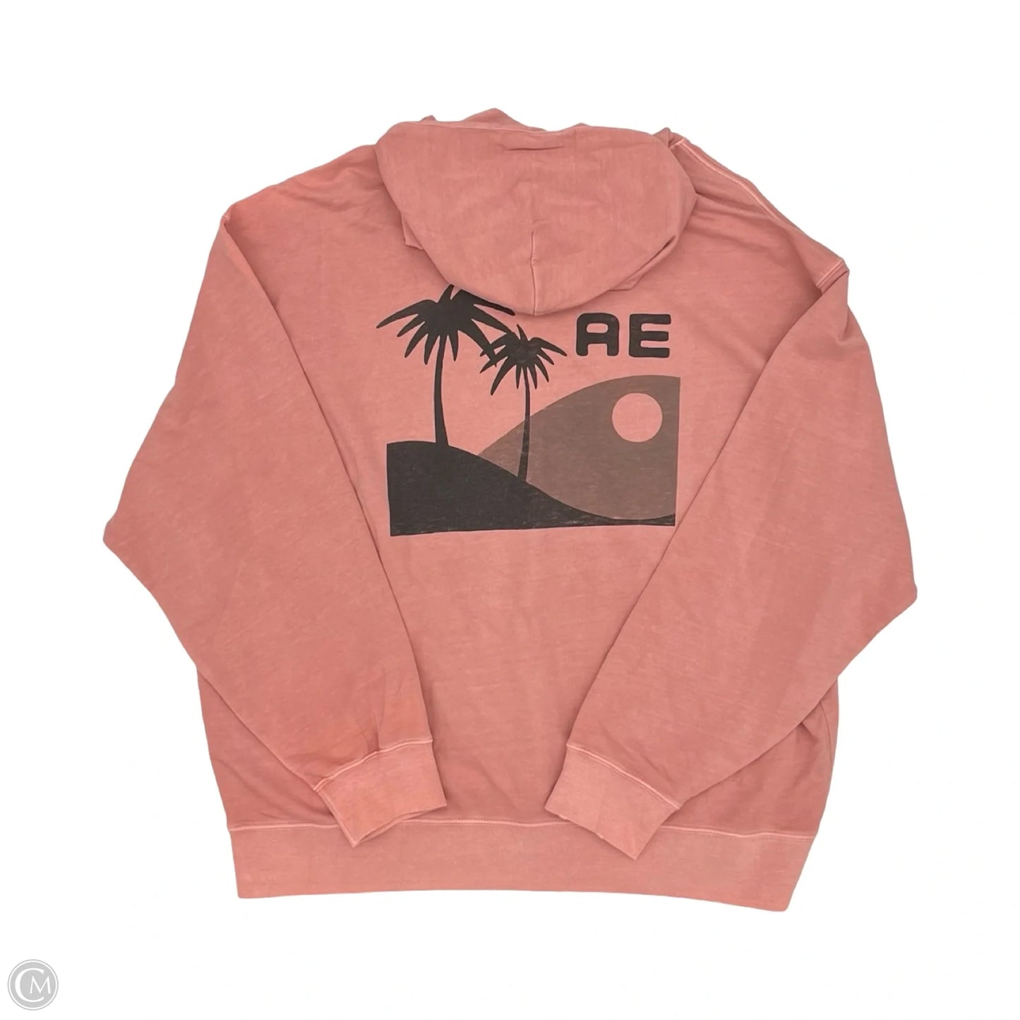 Sweatshirt Hoodie By American Eagle In Pink, Size: Xl