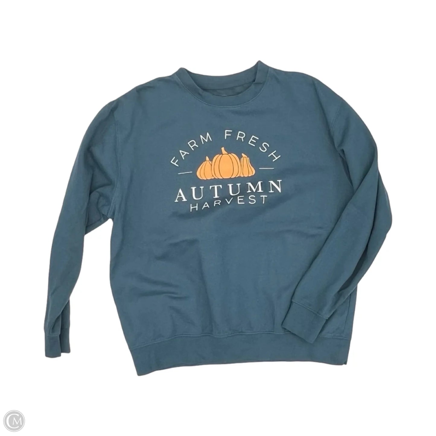 Sweatshirt Crewneck By Clothes Mentor In Blue, Size: Xl