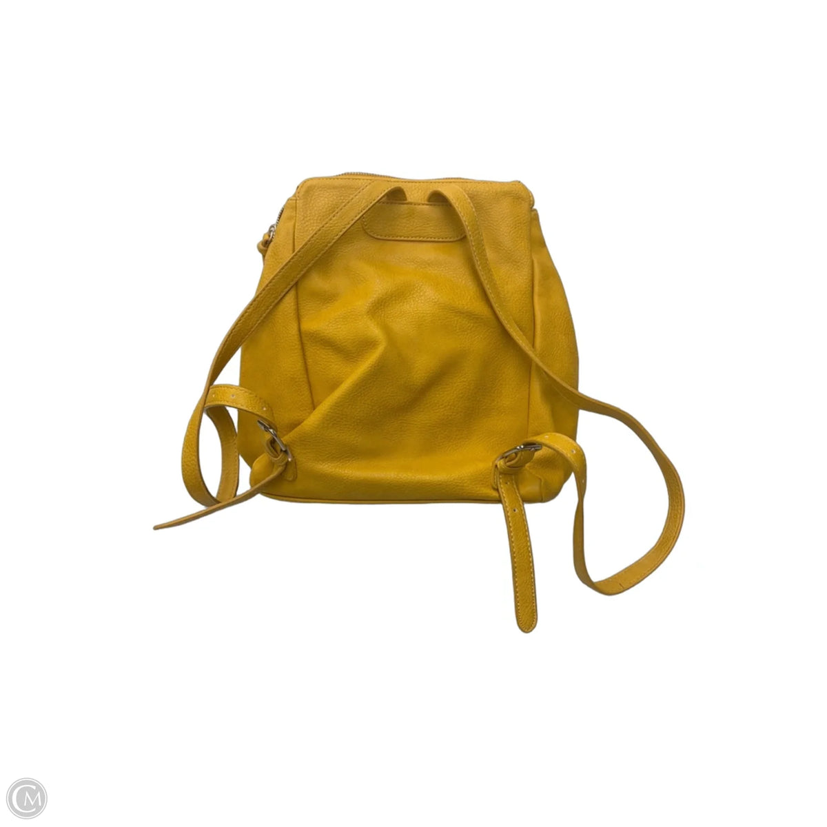 Backpack By Market & Spruce, Size: Medium