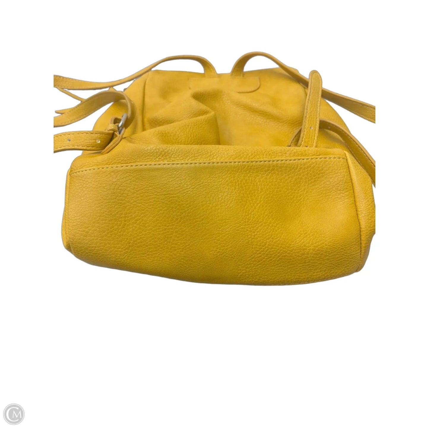 Backpack By Market & Spruce, Size: Medium