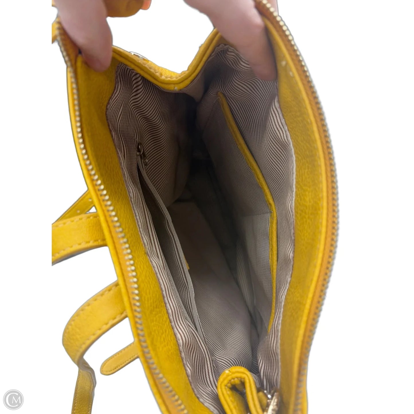 Backpack By Market & Spruce, Size: Medium