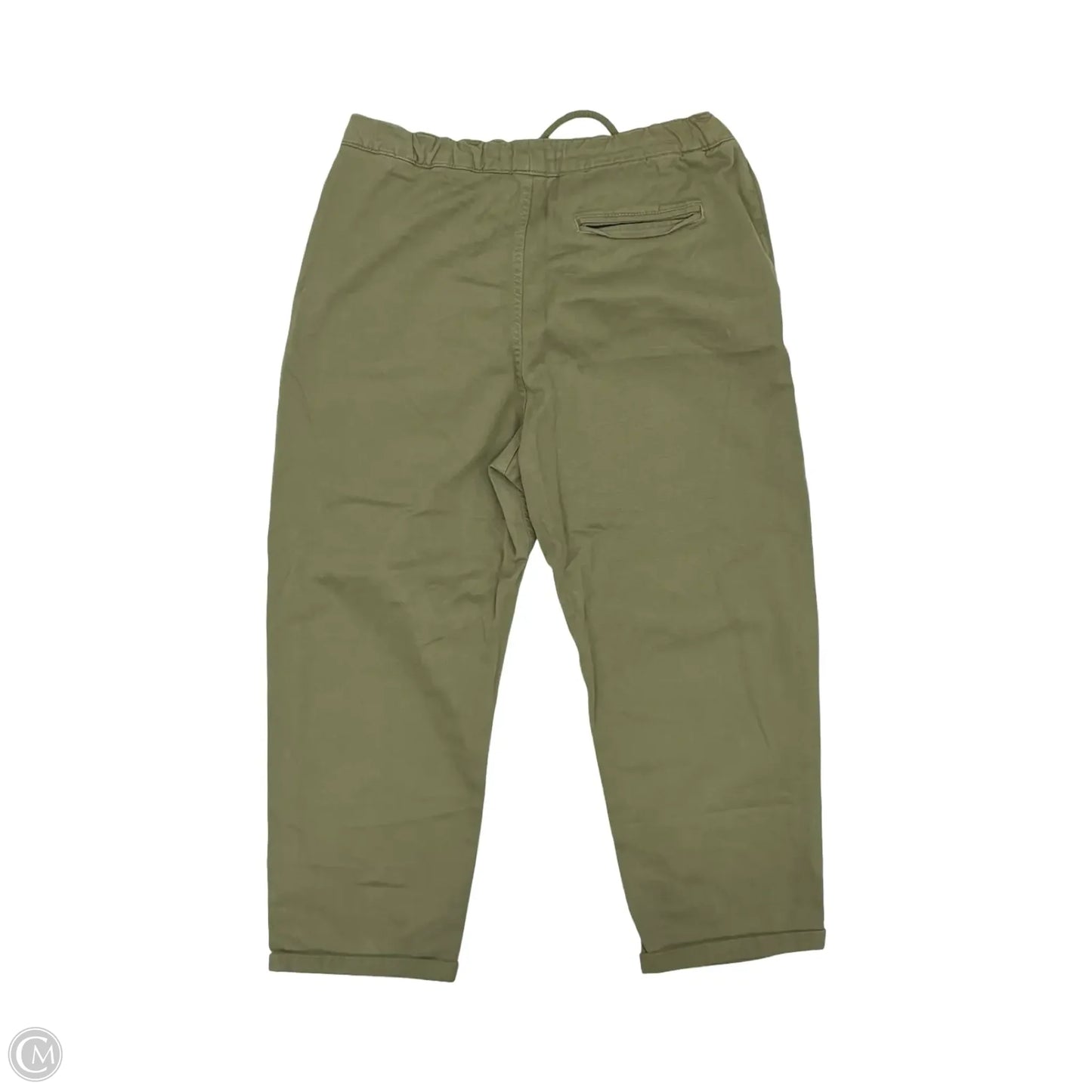 Pants Cargo & Utility By Clothes Mentor In Green, Size: L