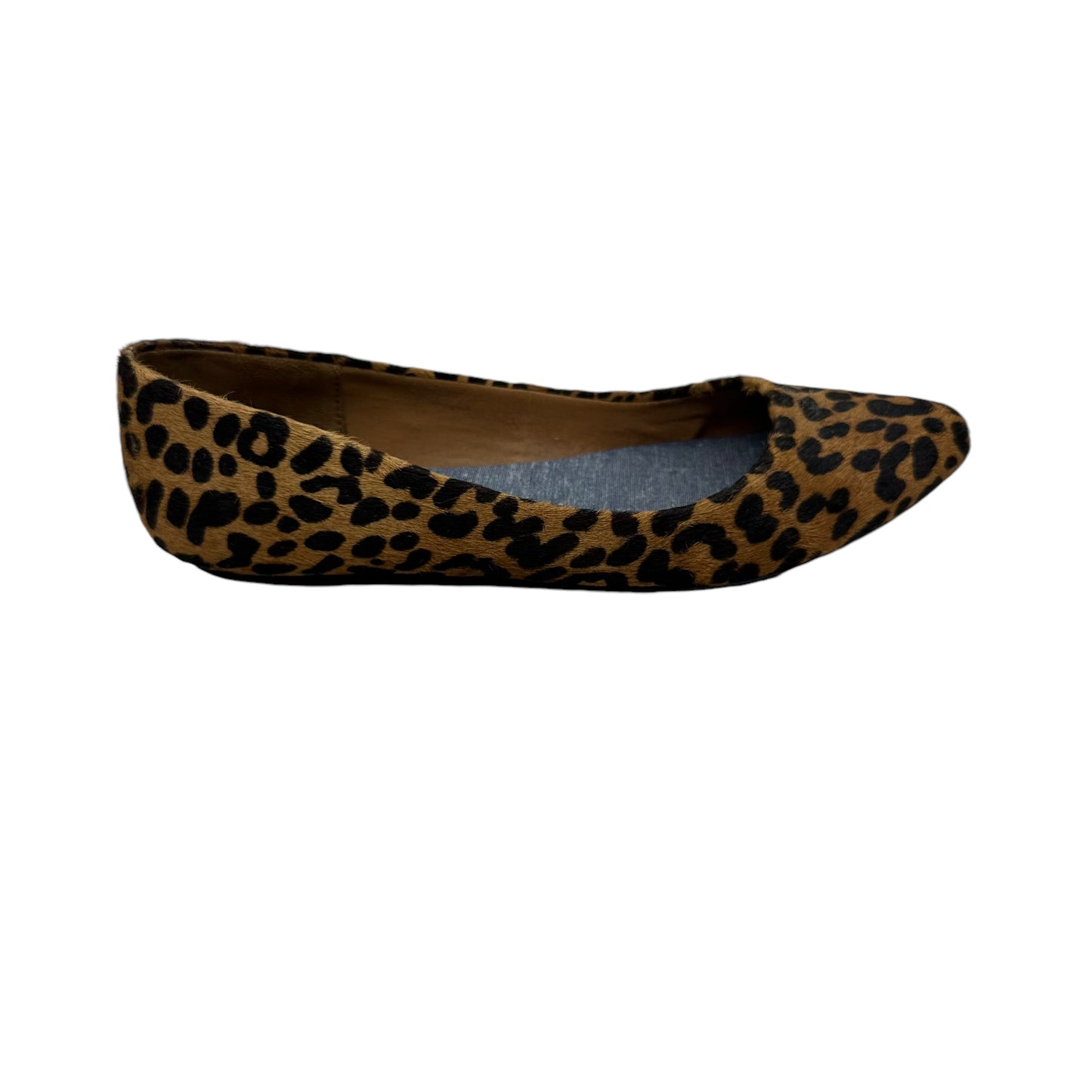 Shoes Flats By Dr Scholls In Animal Print, Size:7