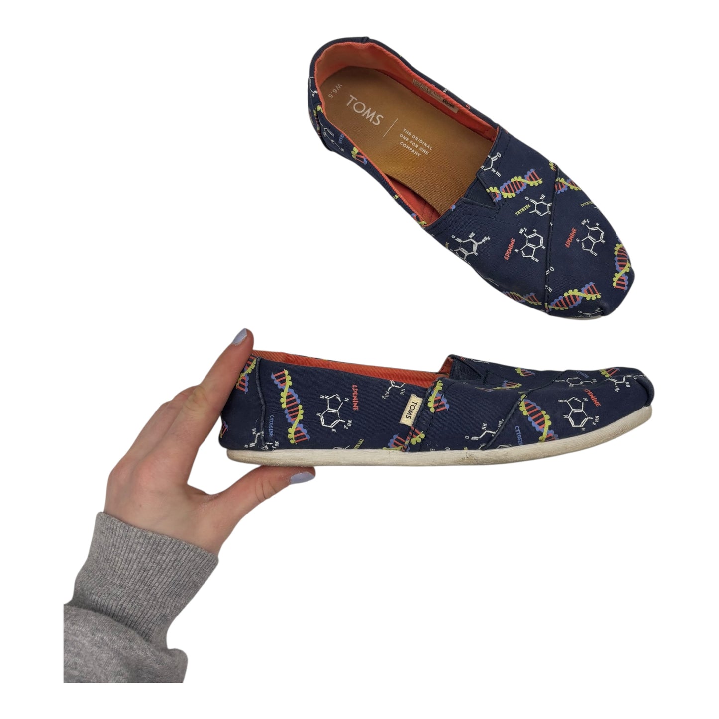 Shoes Flats By Toms In Blue, Size:6.5