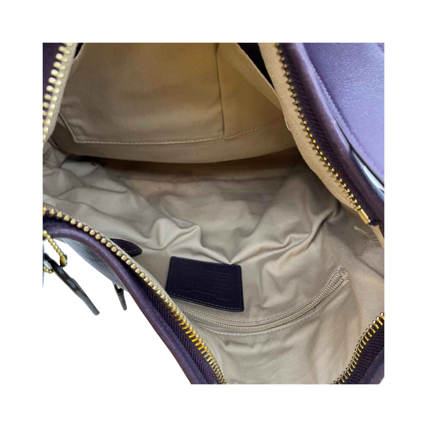 Handbag Designer By Coach In Purple, Size:Large