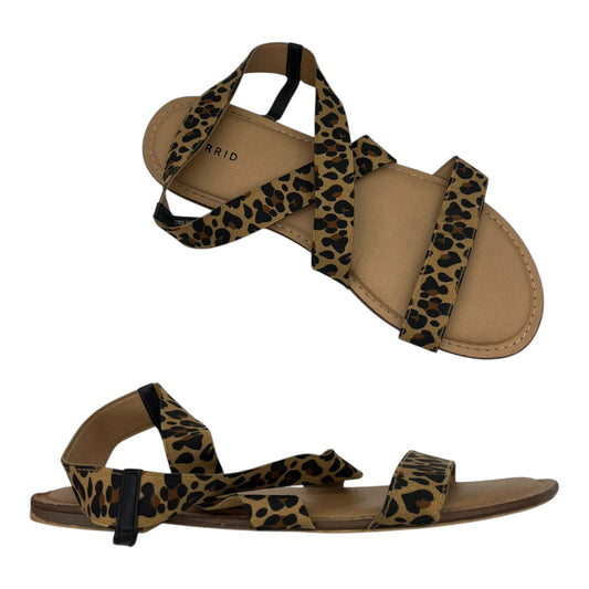 Sandals Flats By Torrid In Animal Print, Size:12
