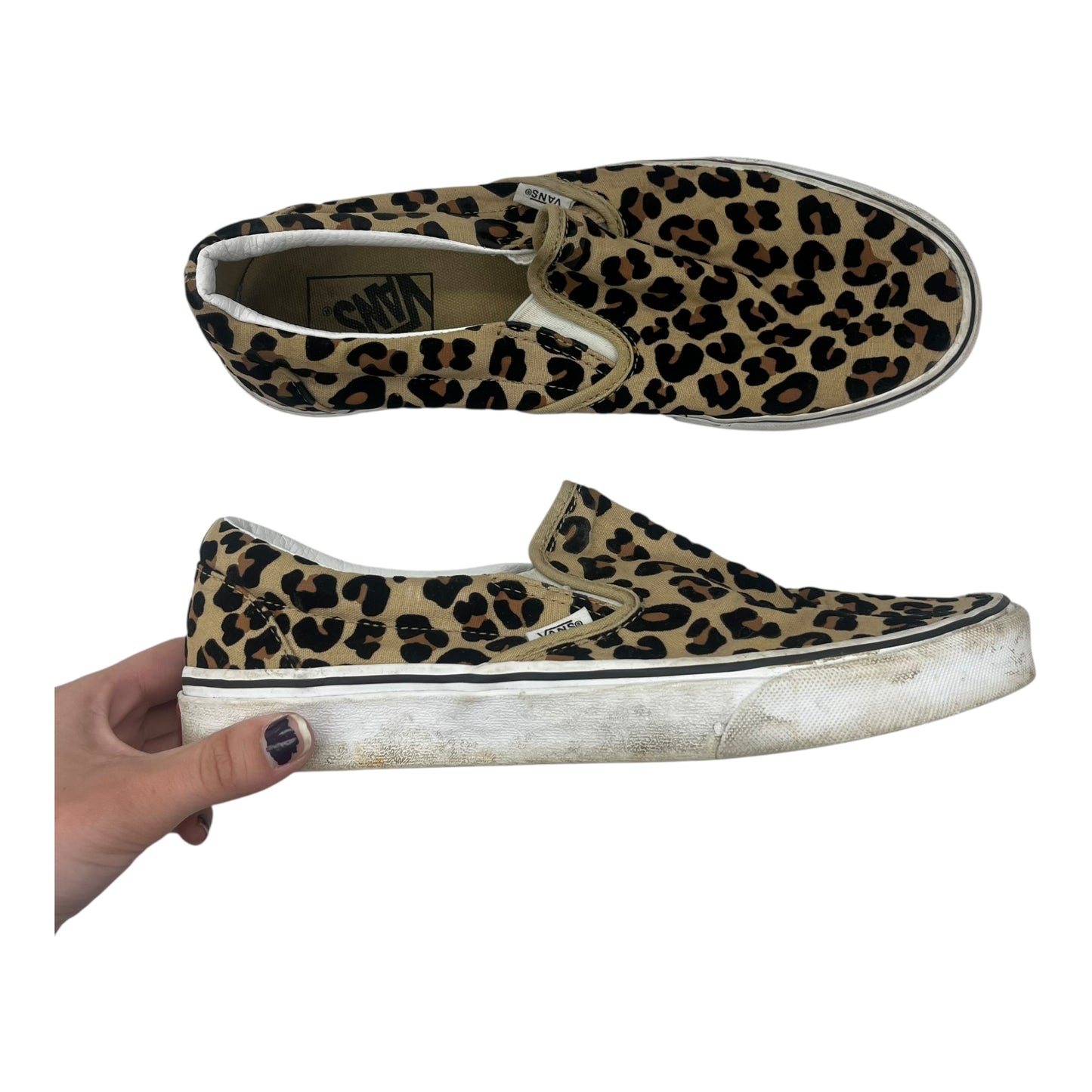 Shoes Sneakers By Vans In Leopard Print, Size:10.5