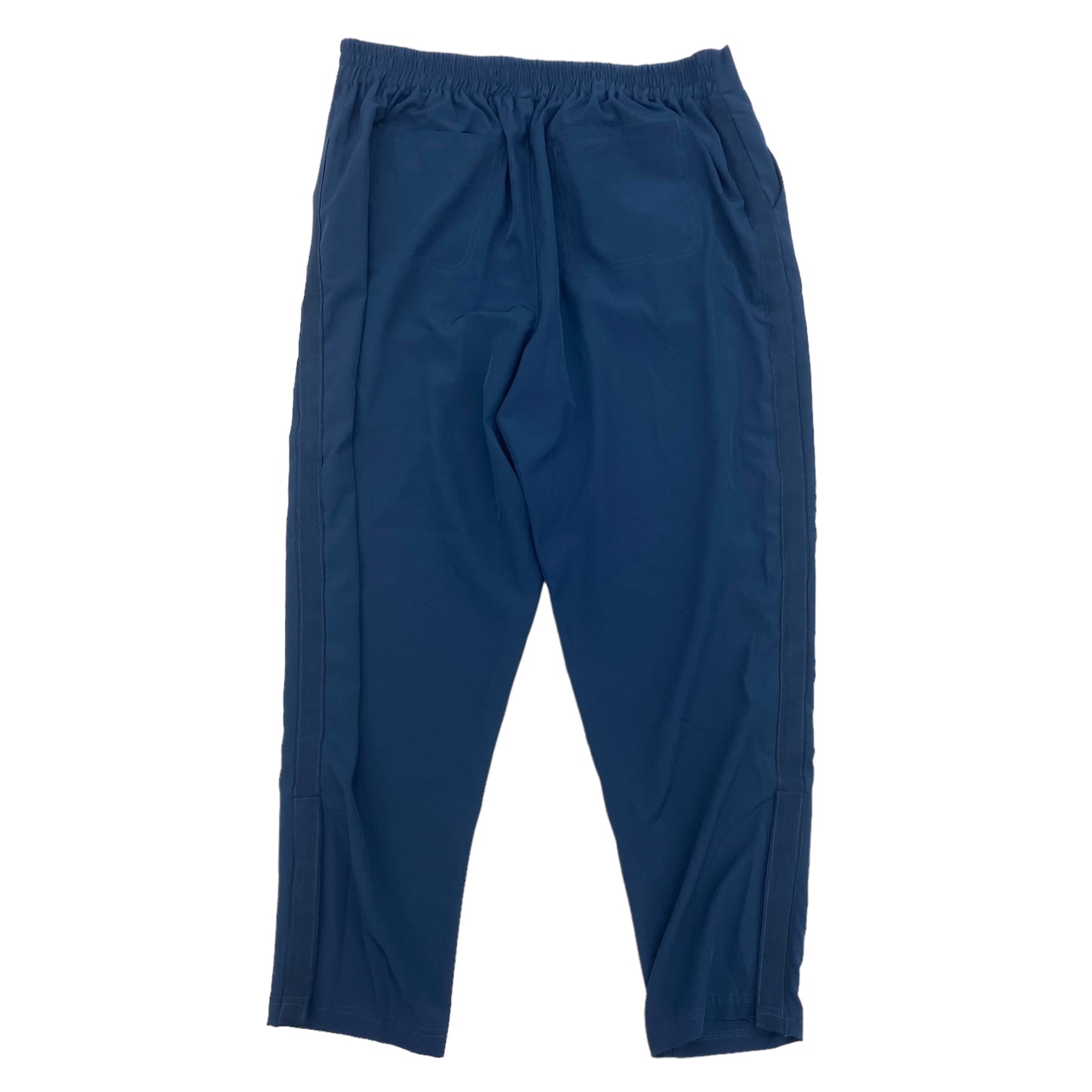 BLUE ATHLETIC PANTS by CLOTHES MENTOR Size:1X