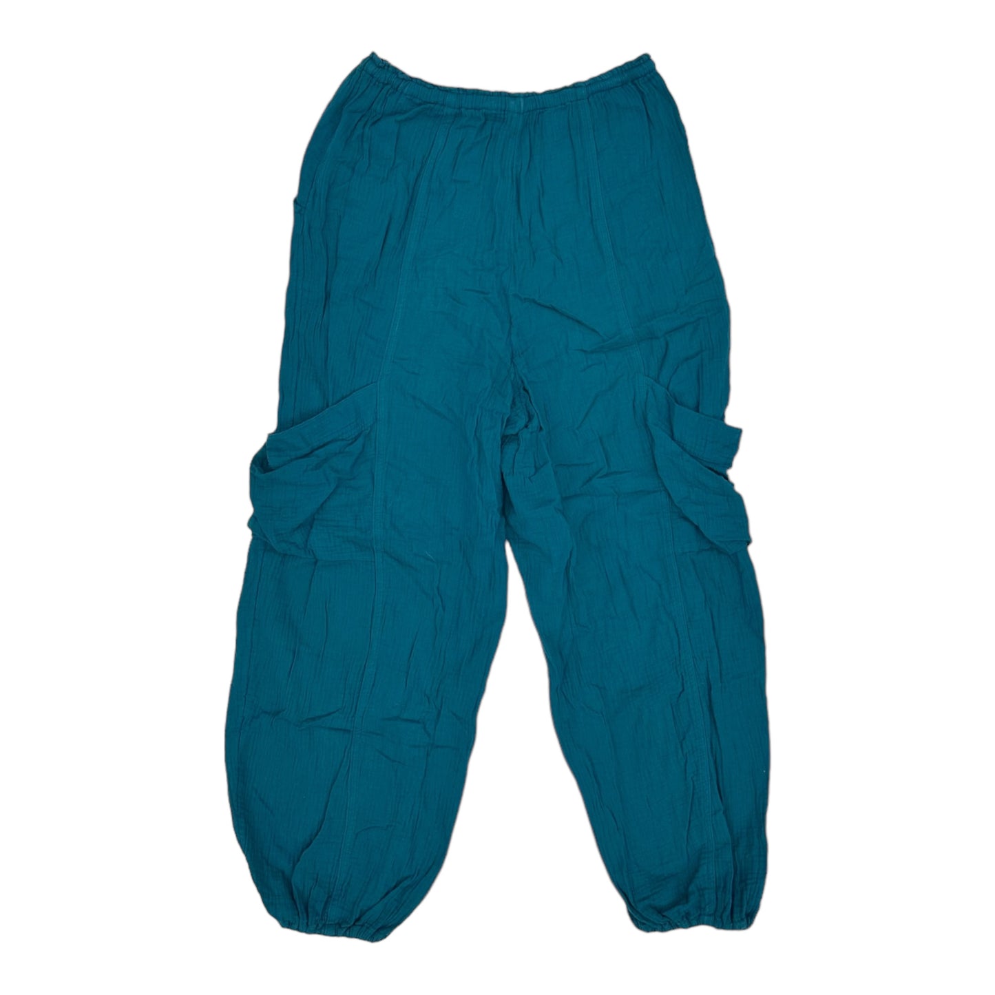 BLUE PANTS JOGGERS by WILD FABLE Size:S