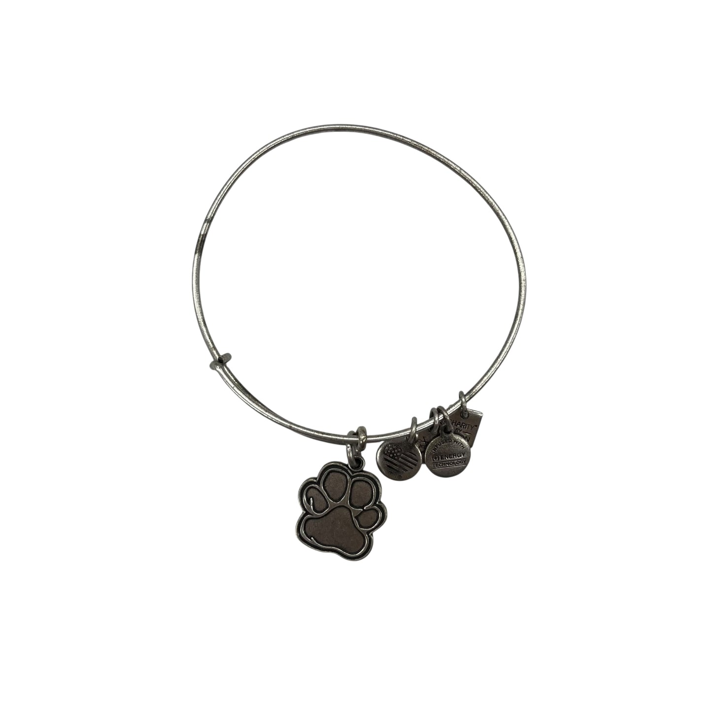 Bracelet Bangle By Clothes Mentor In Silver