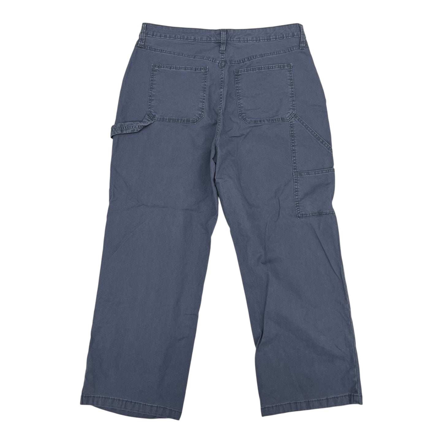 Pants Cargo & Utility By Universal Thread In Blue, Size:14