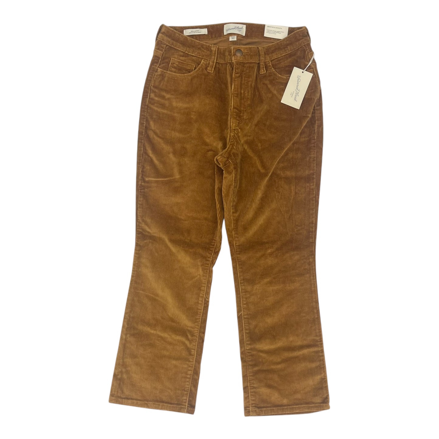 Pants Corduroy By Universal Thread In Brown, Size:8