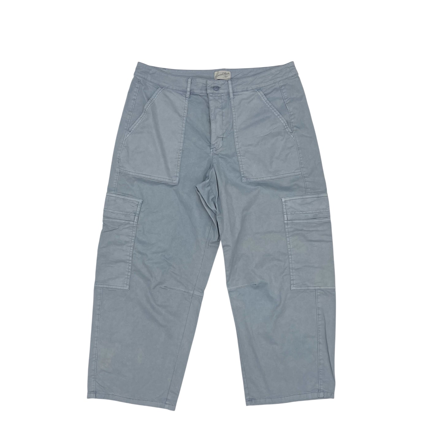 Pants Cargo & Utility By Universal Thread In Blue, Size:14