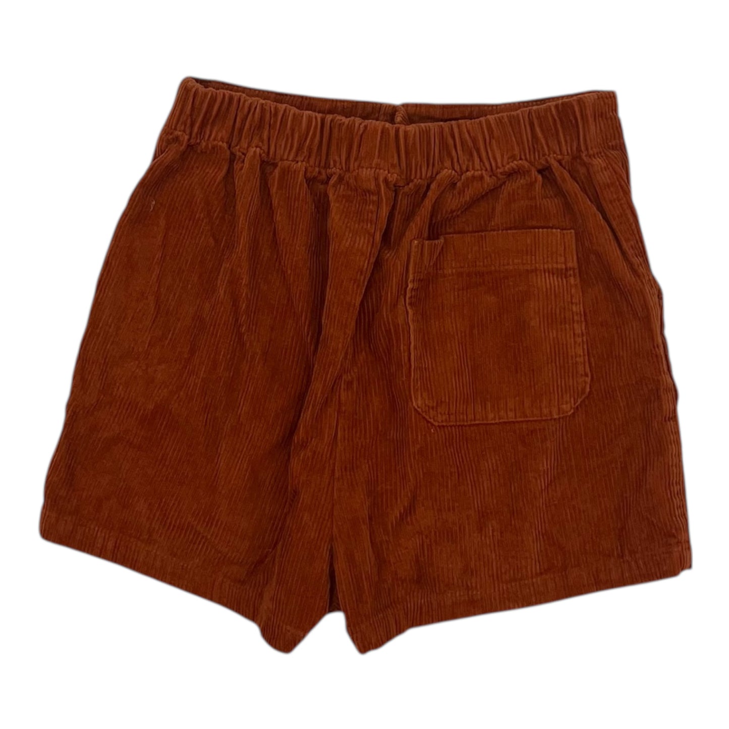 Shorts By Wild Fable In Orange, Size:S