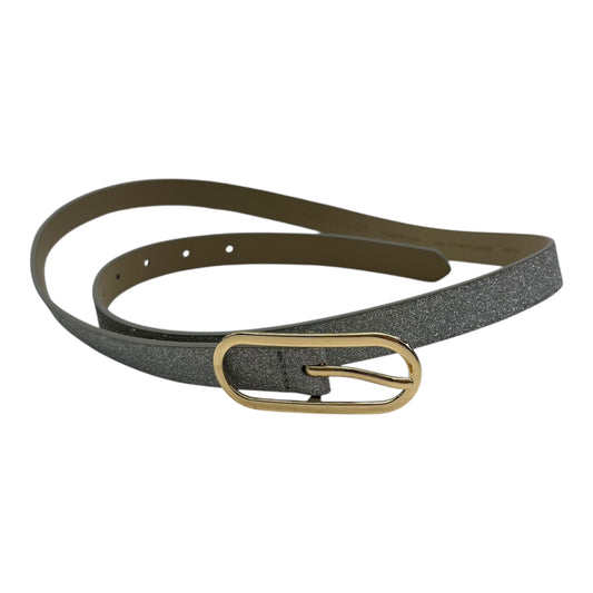Belt By Ann Taylor In Silver