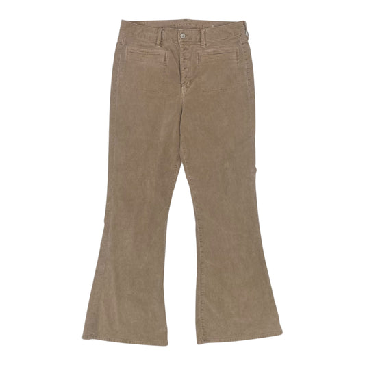 Pants Corduroy By American Eagle In Brown, Size:14