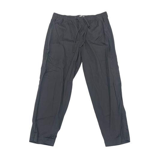 Pants Cargo & Utility By Lou And Grey In Grey, Size:L