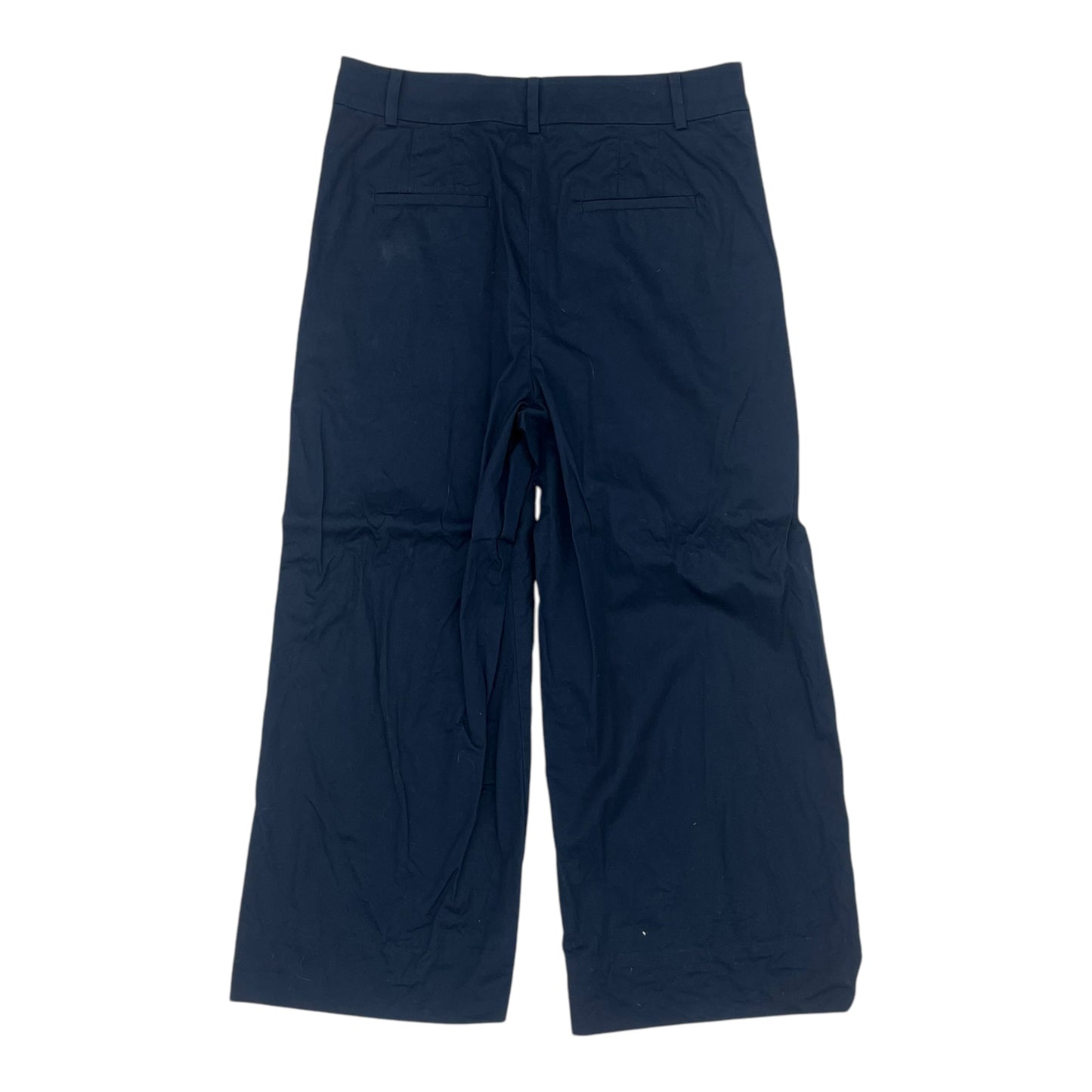 Pants Other By Loft In Navy, Size:10