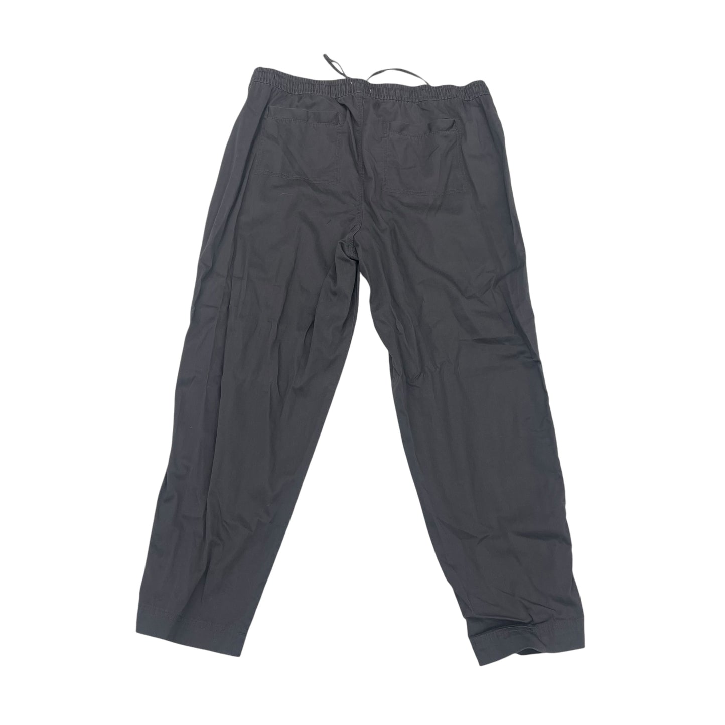 Pants Cargo & Utility By Lou And Grey In Grey, Size:L