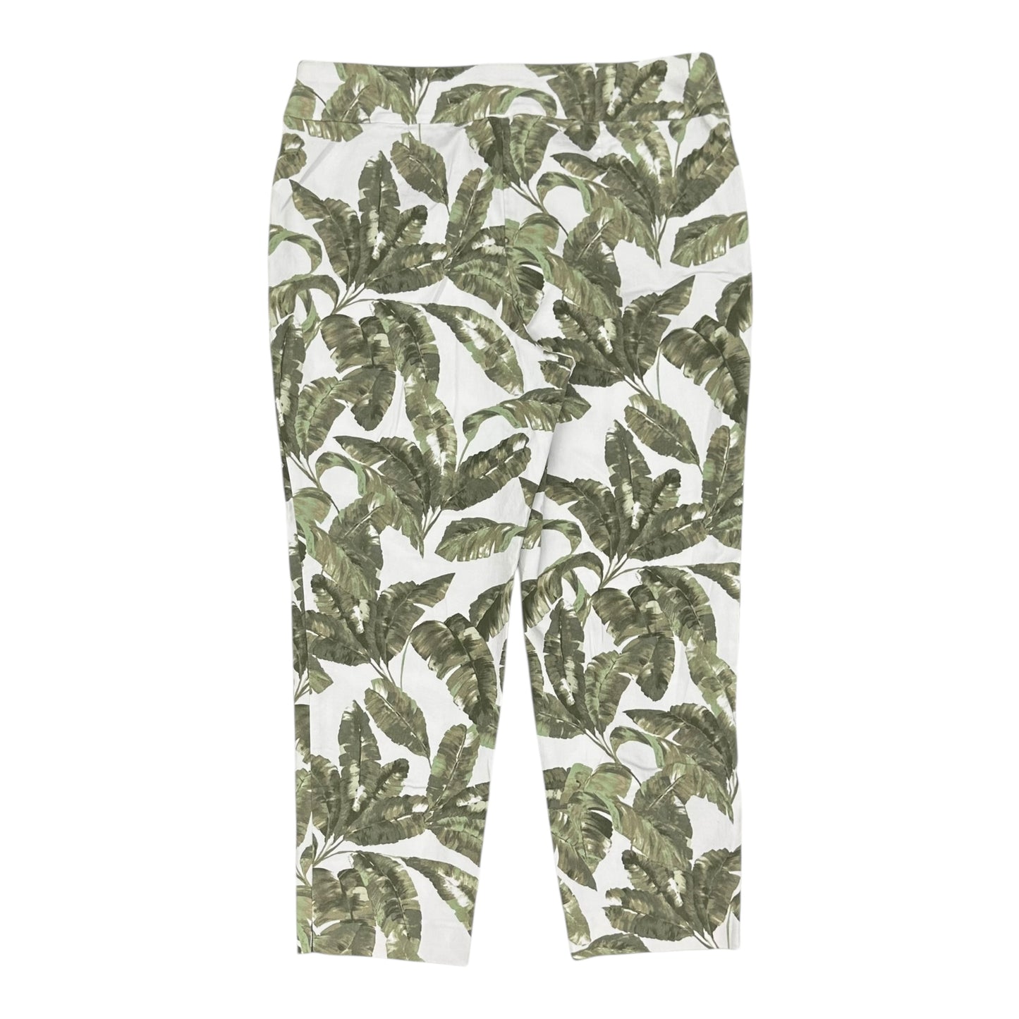 Pants Chinos & Khakis By Chicos In Green & White, Size:L