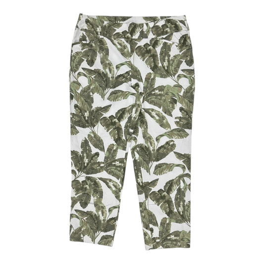 Pants Chinos & Khakis By Chicos In Green & White, Size:L