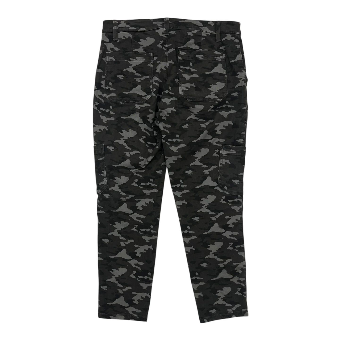 Pants Cargo & Utility By Banana Republic In Camouflage Print, Size:10P