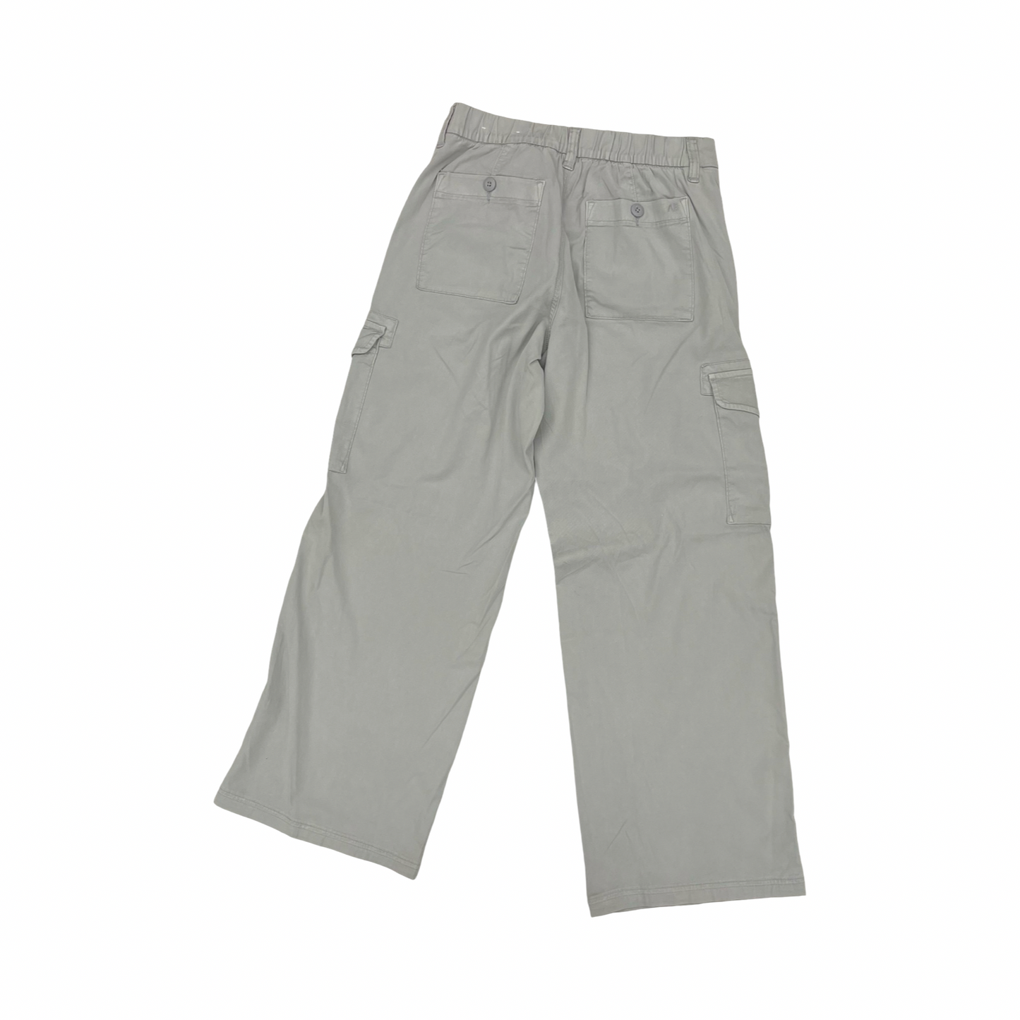Pants Cargo & Utility By American Eagle In Grey, Size:4